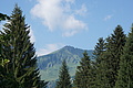 DSC08279 - Bernhard Saalfeld