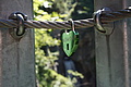 DSC08287 - Bernhard Saalfeld