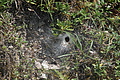 DSC08302 - Bernhard Saalfeld