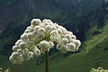 DSC08309 - Bernhard Saalfeld