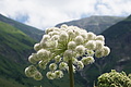 DSC08310 - Bernhard Saalfeld