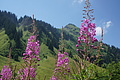 DSC08311 - Bernhard Saalfeld