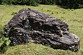 DSC08313 - Bernhard Saalfeld
