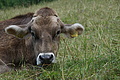DSC08315 - Bernhard Saalfeld