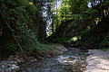 DSC08332 - Bernhard Saalfeld