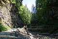 DSC08333 - Bernhard Saalfeld