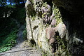 DSC08334 - Bernhard Saalfeld