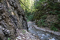 DSC08335 - Bernhard Saalfeld