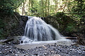 DSC08355 - Bernhard Saalfeld