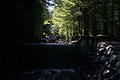 DSC08357 - Bernhard Saalfeld