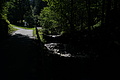 DSC08361 - Bernhard Saalfeld