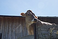 DSC08363 - Bernhard Saalfeld