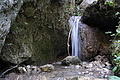 DSC08396 - Bernhard Saalfeld