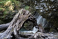 DSC08397 - Bernhard Saalfeld