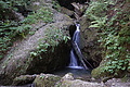 DSC08398 - Bernhard Saalfeld
