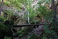 DSC08403 - Bernhard Saalfeld