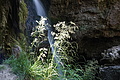 DSC08409 - Bernhard Saalfeld