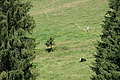 DSC08426 - Bernhard Saalfeld