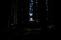 DSC08427 - Bernhard Saalfeld