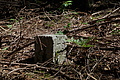 DSC08428 - Bernhard Saalfeld