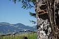 DSC08430 - Bernhard Saalfeld