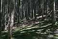 DSC08431 - Bernhard Saalfeld