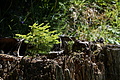 DSC08432 - Bernhard Saalfeld