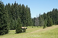 DSC08433 - Bernhard Saalfeld