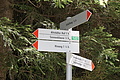 DSC08435 - Bernhard Saalfeld