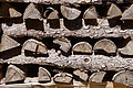DSC08436 - Bernhard Saalfeld