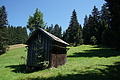 DSC08441 - Bernhard Saalfeld