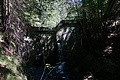 DSC08443 - Bernhard Saalfeld