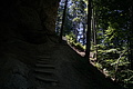 DSC08445 - Bernhard Saalfeld