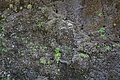 DSC08446 - Bernhard Saalfeld