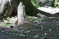 DSC08456 - Bernhard Saalfeld