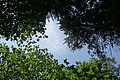 DSC08461 - Bernhard Saalfeld