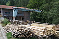 DSC08463 - Bernhard Saalfeld