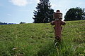 DSC08464 - Bernhard Saalfeld