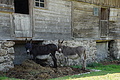 DSC08468 - Bernhard Saalfeld