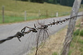 DSC08474 - Bernhard Saalfeld