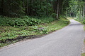 DSC08476 - Bernhard Saalfeld