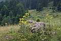 DSC08478 - Bernhard Saalfeld