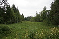 DSC08484 - Bernhard Saalfeld
