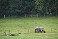 DSC08488 - Bernhard Saalfeld