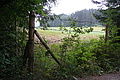 DSC08489 - Bernhard Saalfeld
