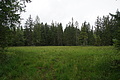 DSC08498 - Bernhard Saalfeld