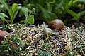 DSC08511 - Bernhard Saalfeld