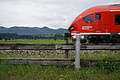 DSC08513 - Bernhard Saalfeld