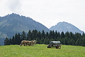 DSC08516 - Bernhard Saalfeld