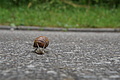 DSC08521 - Bernhard Saalfeld